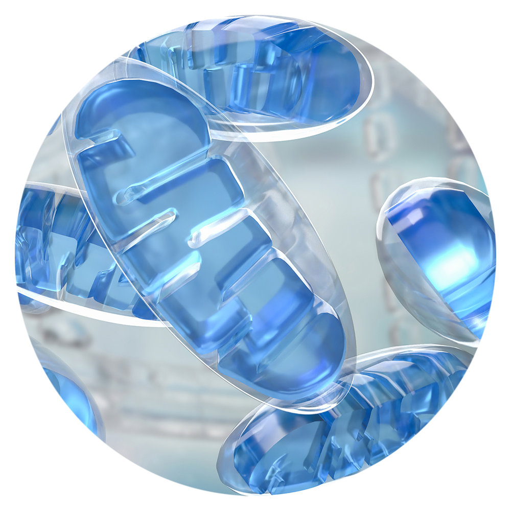 Angeborene und erworbene Mitochondrien-Störungen